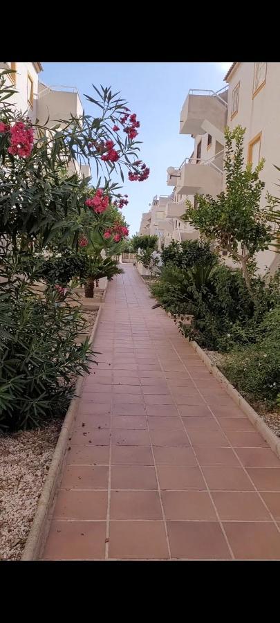 Apartamento Bajo Con Terraza Y Piscina Торевьиа Экстерьер фото